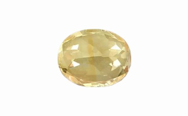 WhatsApp Image 2023-01-16 at 16.10.42 (2)