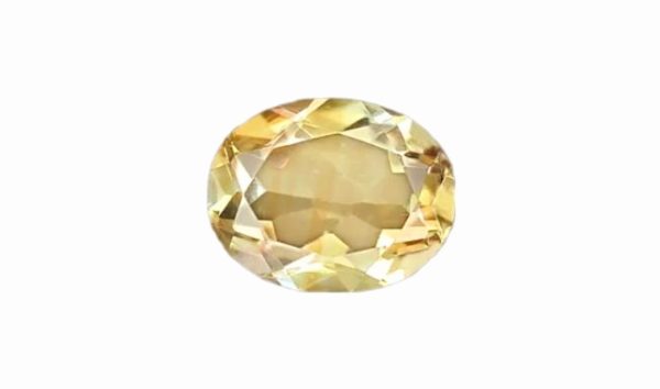 WhatsApp Image 2023-01-16 at 16.10.46