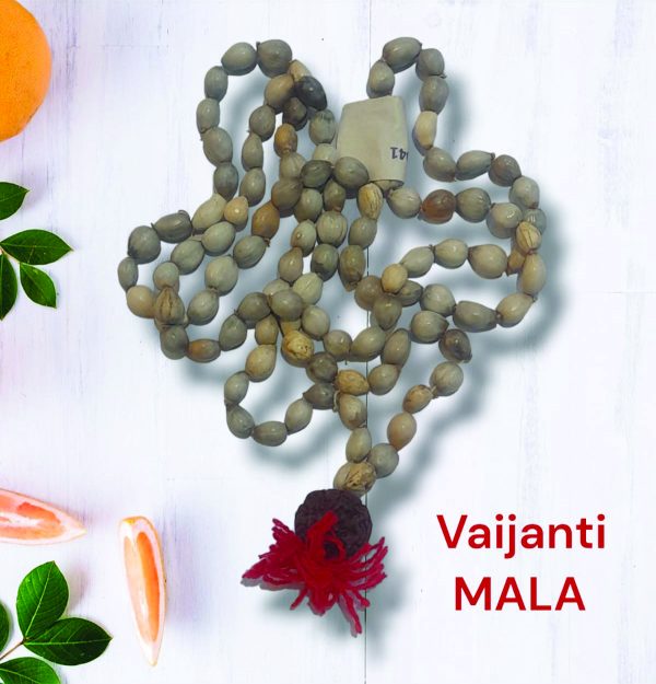 Vaijanti mala